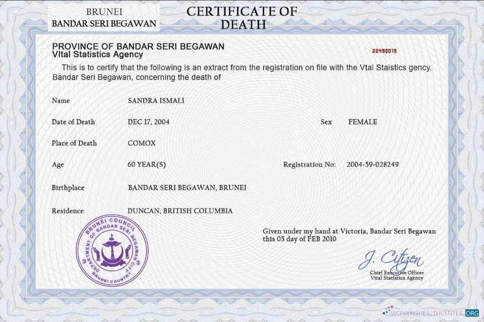 Download Brunei vital record death certificate PSD template Photoshop template
